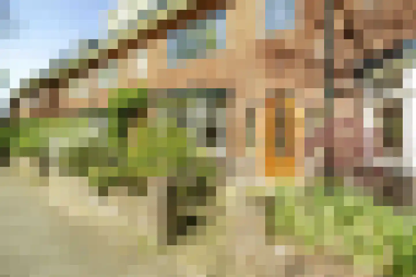 Velserbroekstraat 8 Santpoort-Noord thumbnail 6