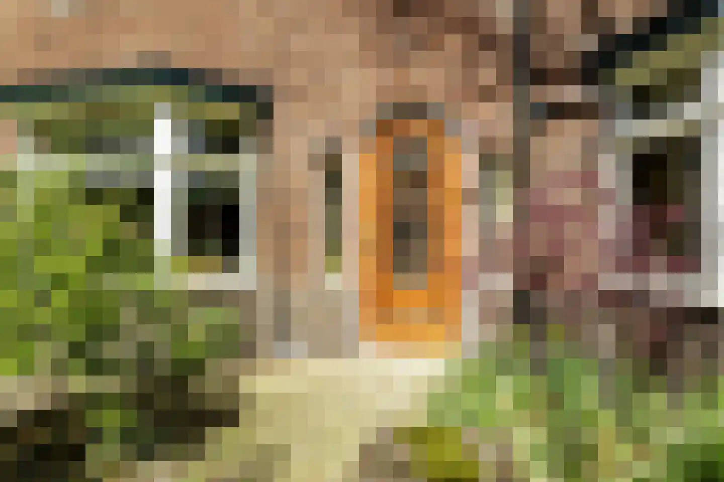 Velserbroekstraat 8 Santpoort-Noord thumbnail 7