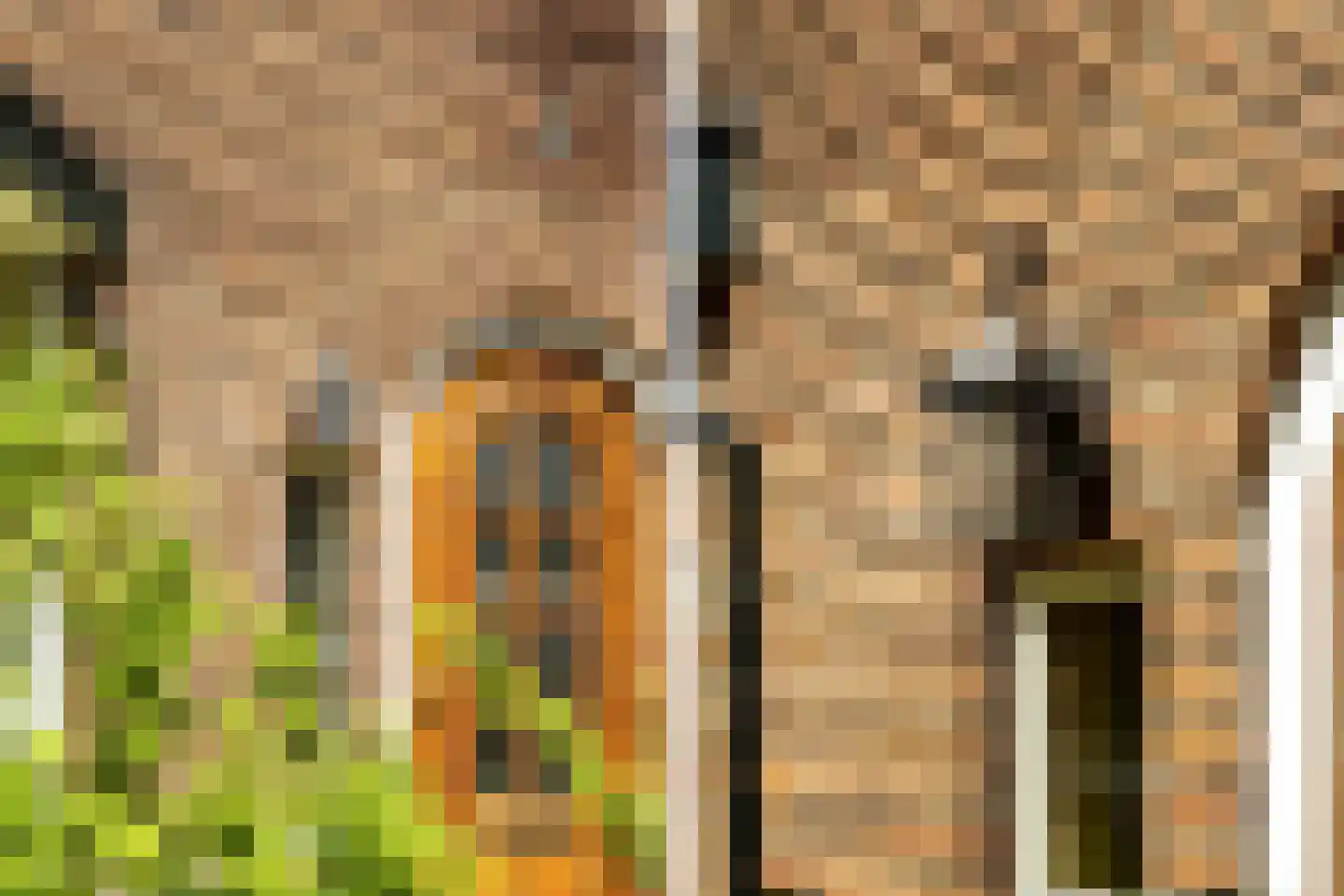 Velserbroekstraat 8 Santpoort-Noord thumbnail 9