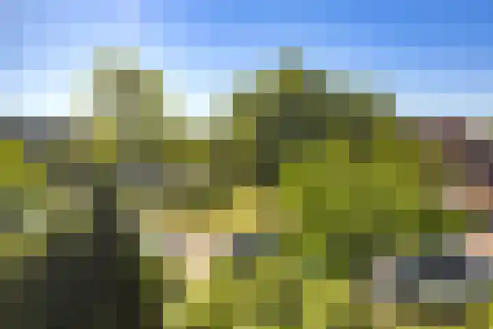 Velserburch 14 Velsen-Zuid thumbnail 27