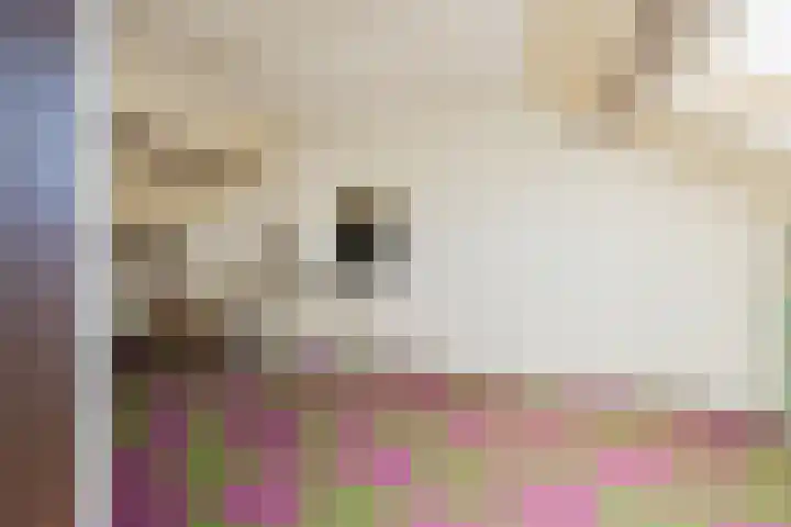 Velserburch 14 Velsen-Zuid thumbnail 38