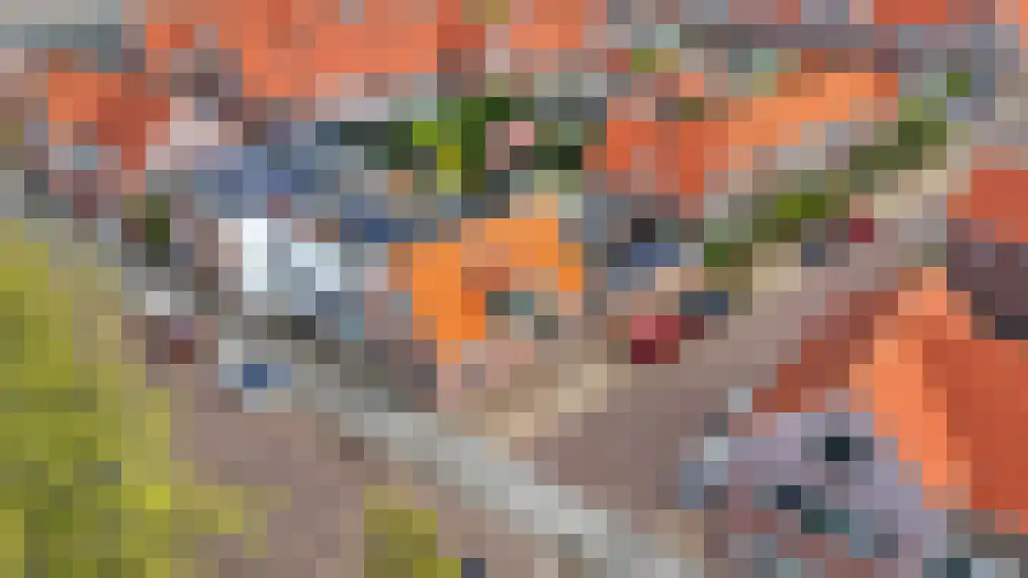 Velserduinweg 147 B IJmuiden thumbnail 43