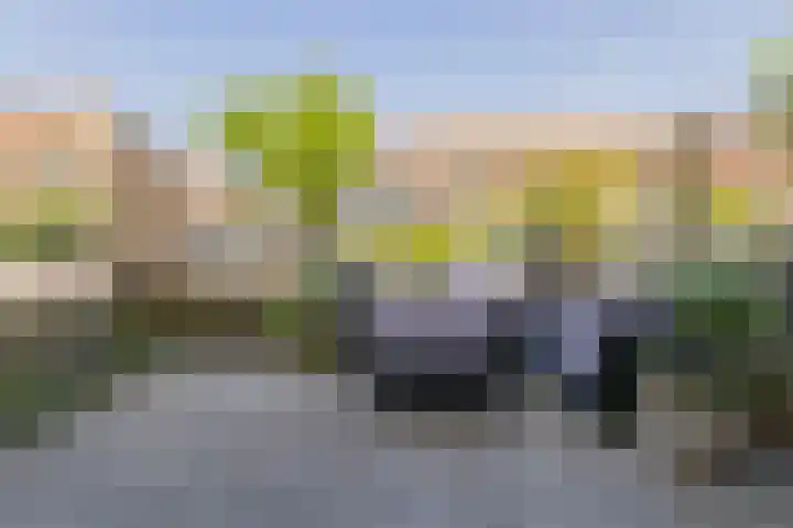 Velserduinweg 248 A IJmuiden thumbnail 7