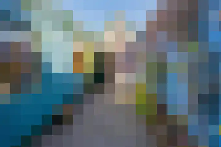 Velserduinweg 252 IJmuiden thumbnail 5