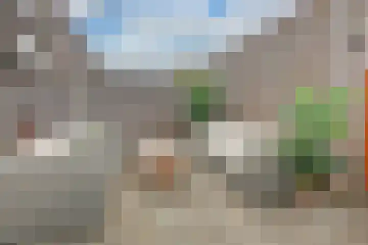 Velserduinweg 265 IJmuiden thumbnail 16