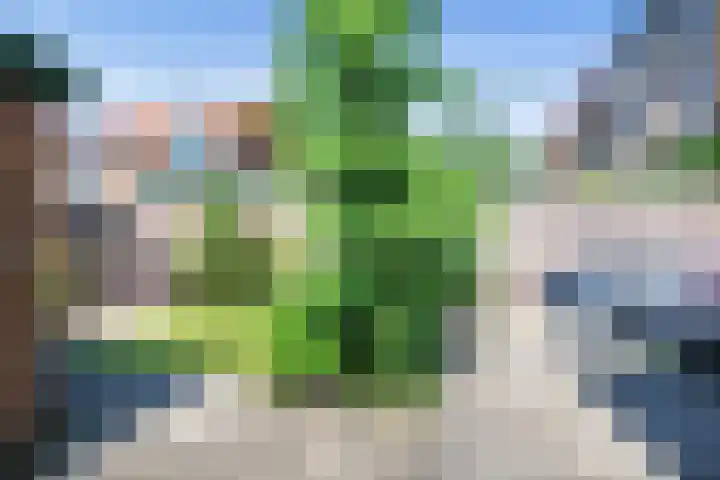 Velserduinweg 6 IJmuiden thumbnail 14