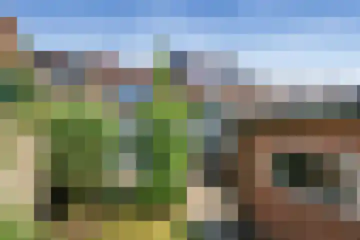 Velserduinweg 6 IJmuiden thumbnail 15