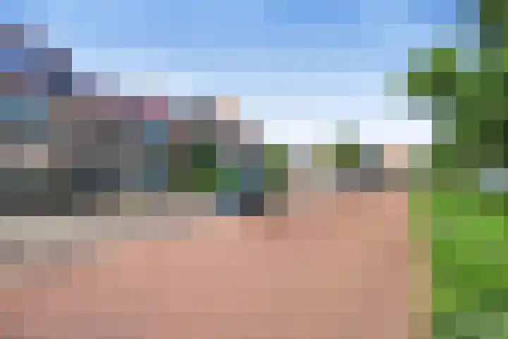 Velserduinweg 6 IJmuiden thumbnail 34