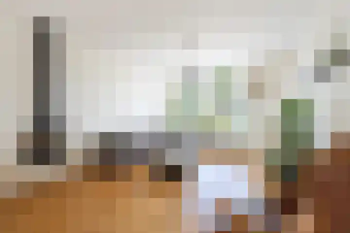 Velserduinweg 6 IJmuiden thumbnail 7