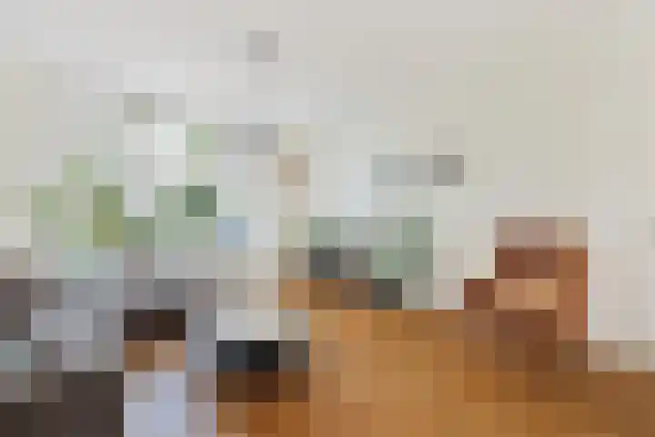 Velserduinweg 6 IJmuiden thumbnail 8