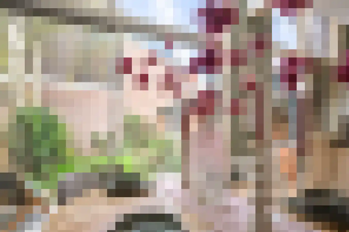 Velserstraat 6 Haarlem thumbnail 14