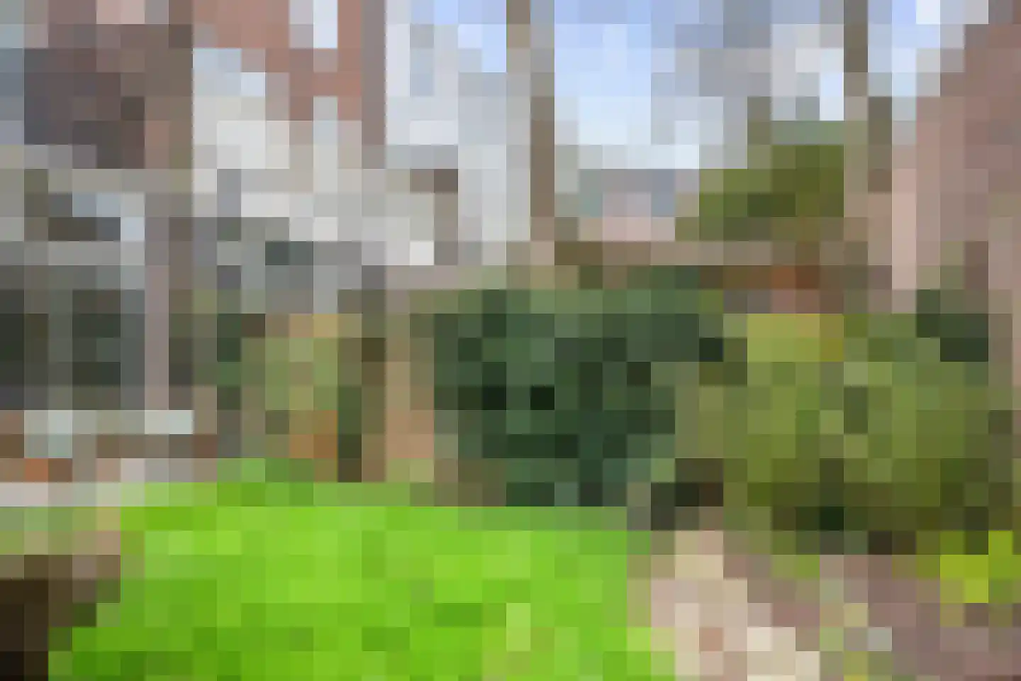 Velserstraat 6 Haarlem thumbnail 22