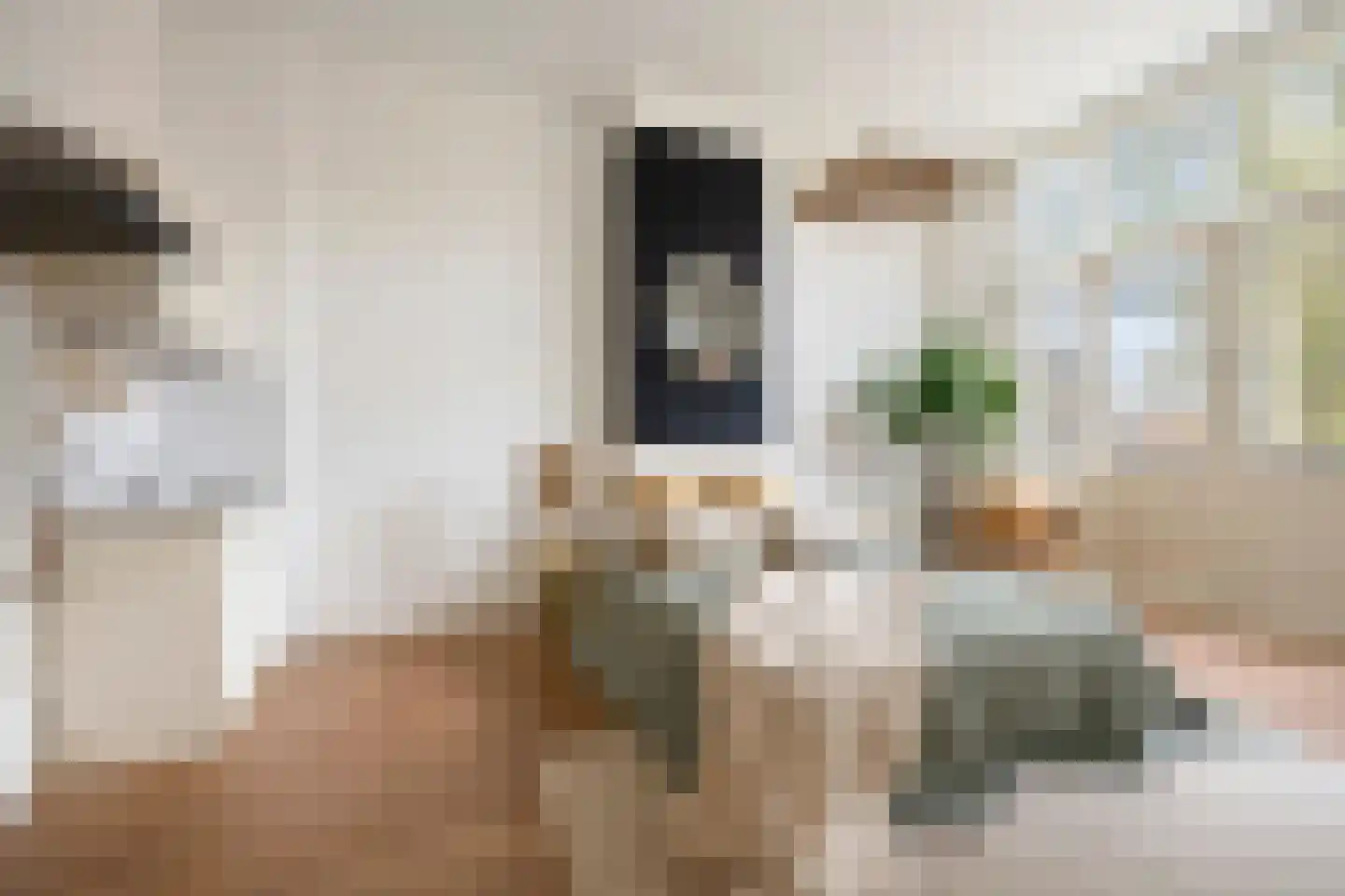 Velserstraat 6 Haarlem thumbnail 30