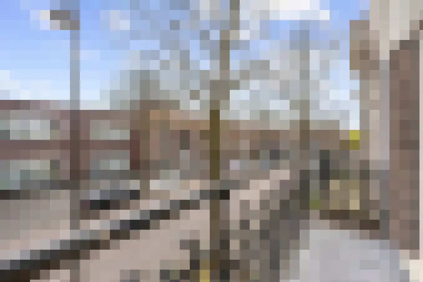 Velserstraat 6 Haarlem thumbnail 48