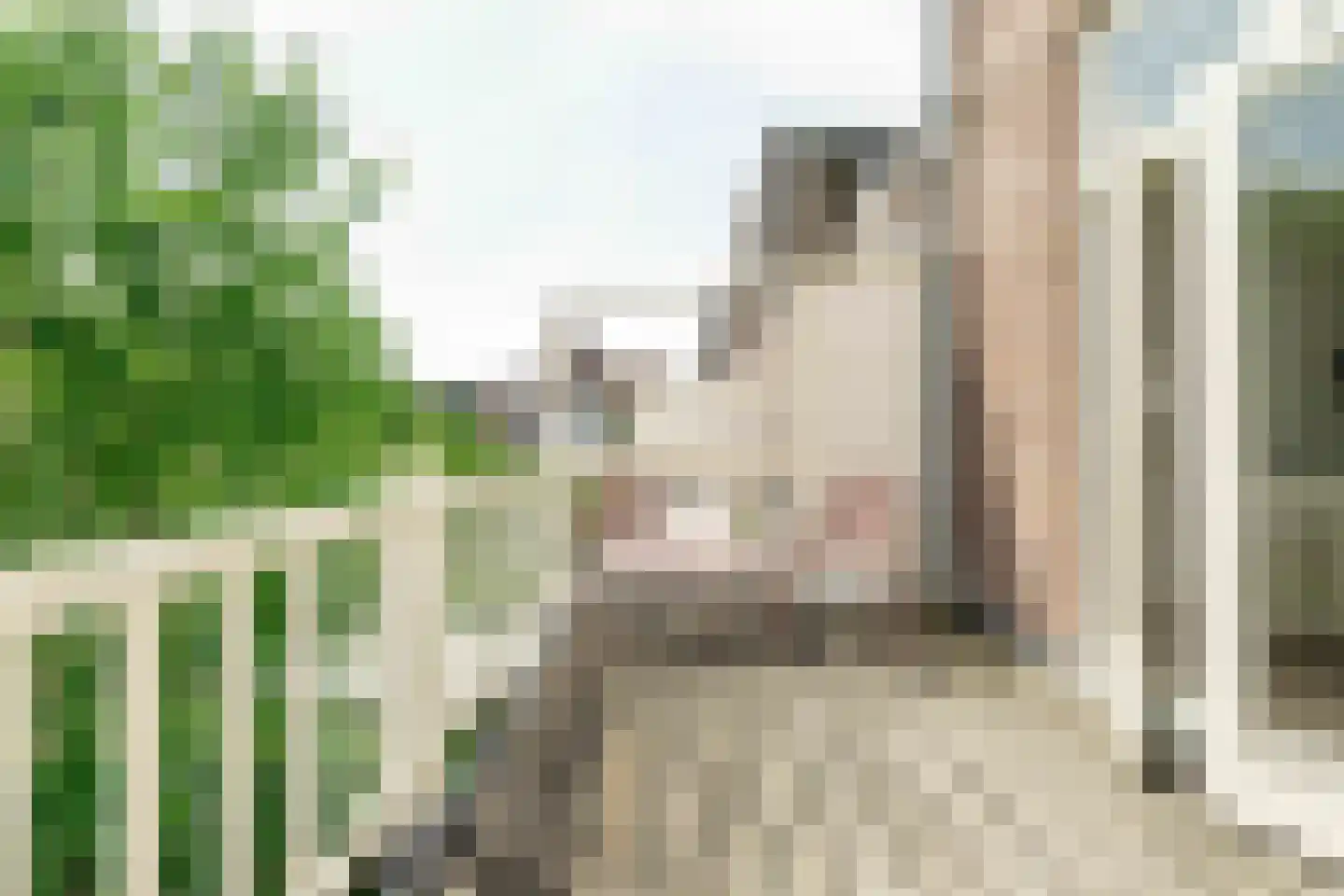 Velserstraat 99 Haarlem thumbnail 31