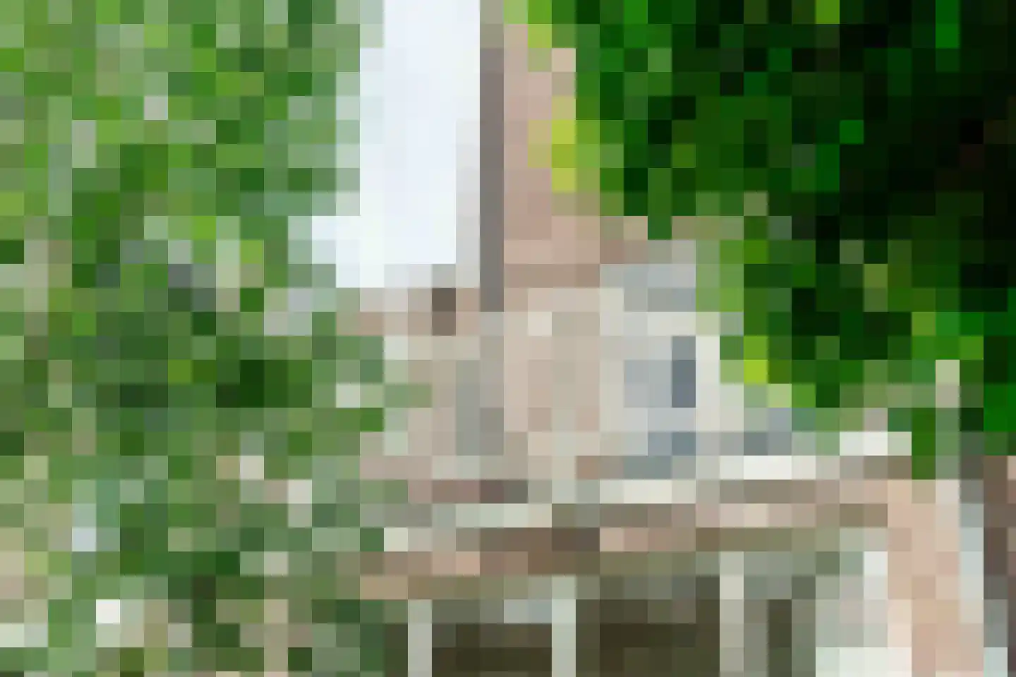 Velserstraat 99 Haarlem thumbnail 34