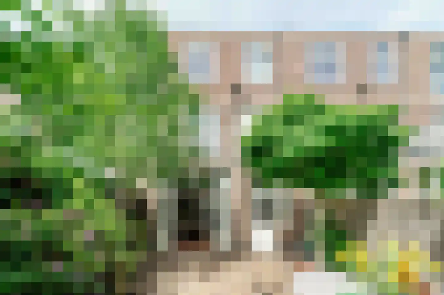 Velserstraat 99 Haarlem thumbnail 4