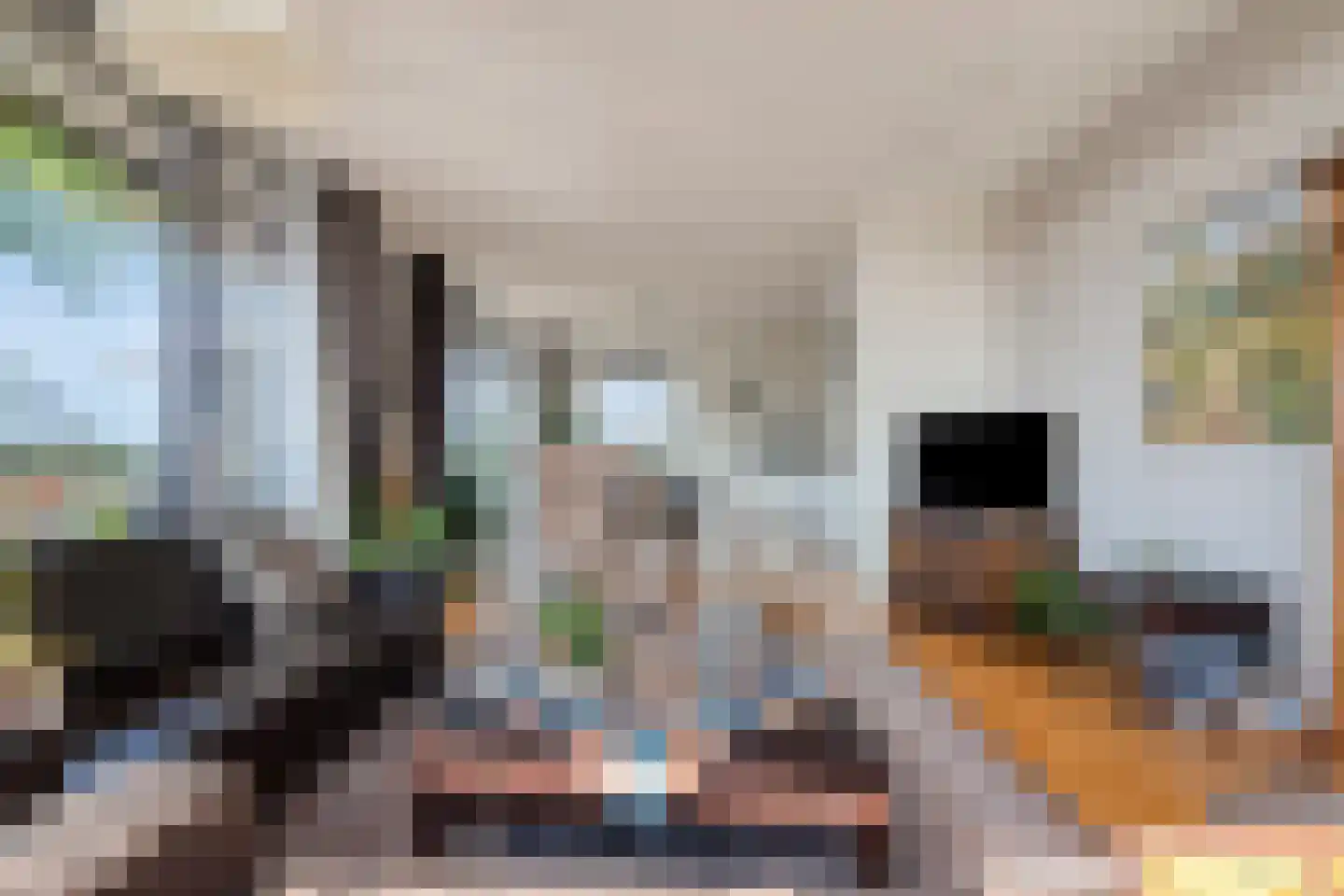 Velsgoed 1 D13 Prinsenbeek thumbnail 14