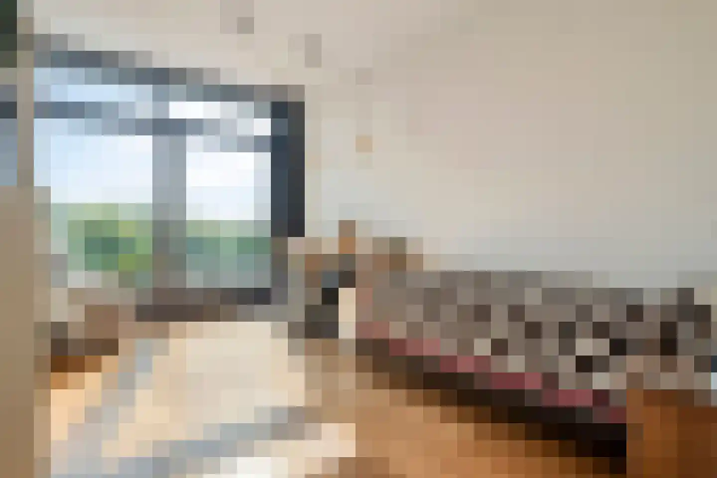 Velsgoed 1 D13 Prinsenbeek thumbnail 24