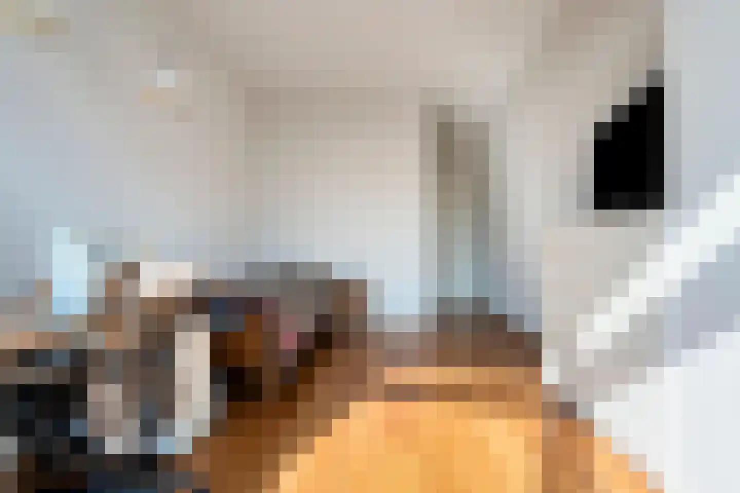 Velsgoed 1 D13 Prinsenbeek thumbnail 25