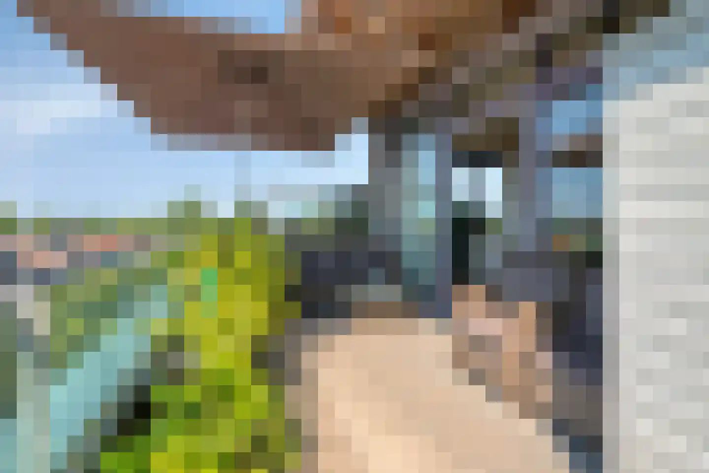 Velsgoed 1 D13 Prinsenbeek thumbnail 30