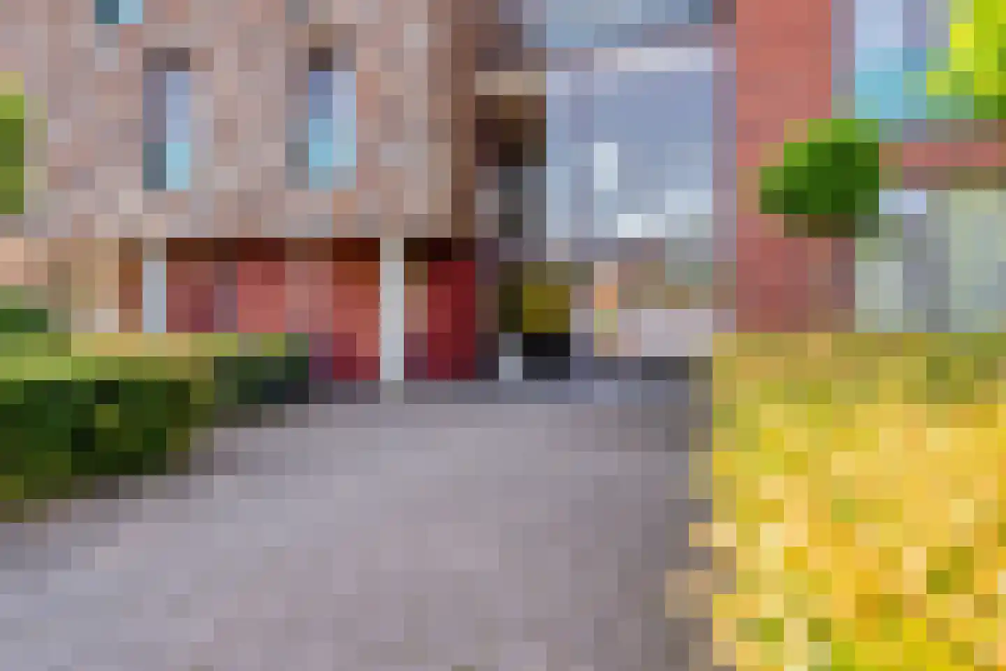 Velsgoed 1 D13 Prinsenbeek thumbnail 5