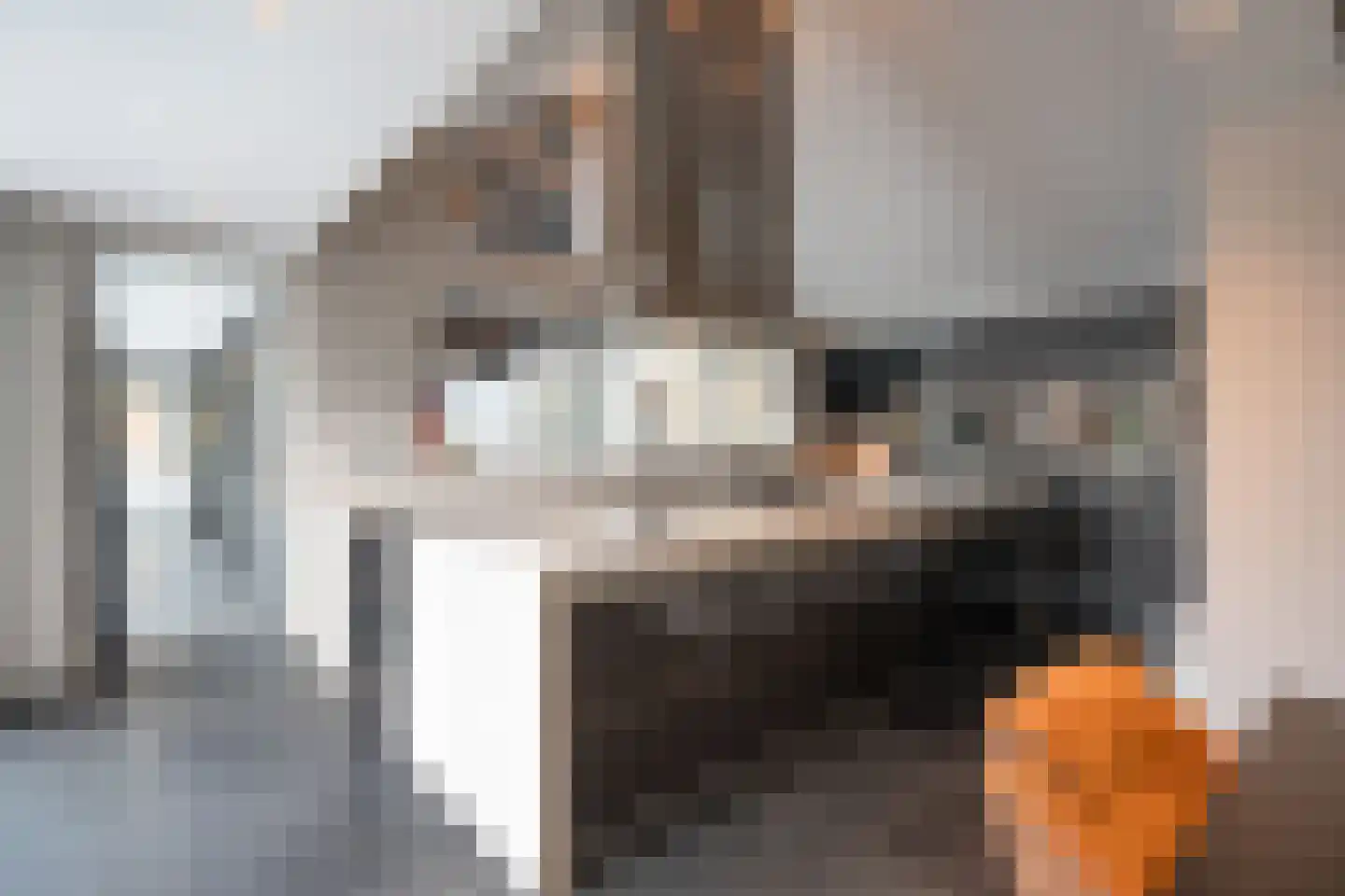 Velsgoed 12 Prinsenbeek thumbnail 14