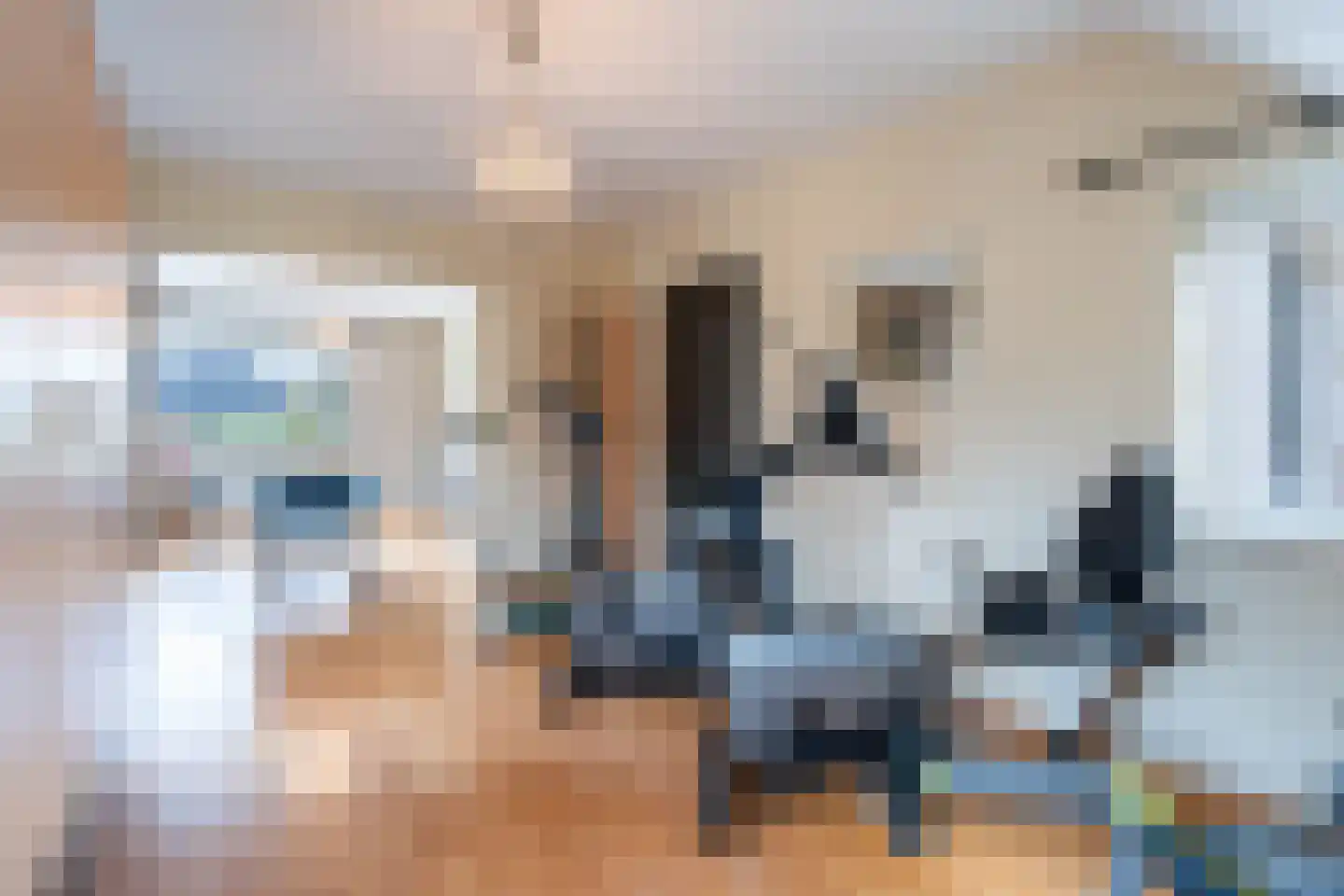 Velsgoed 12 Prinsenbeek thumbnail 35