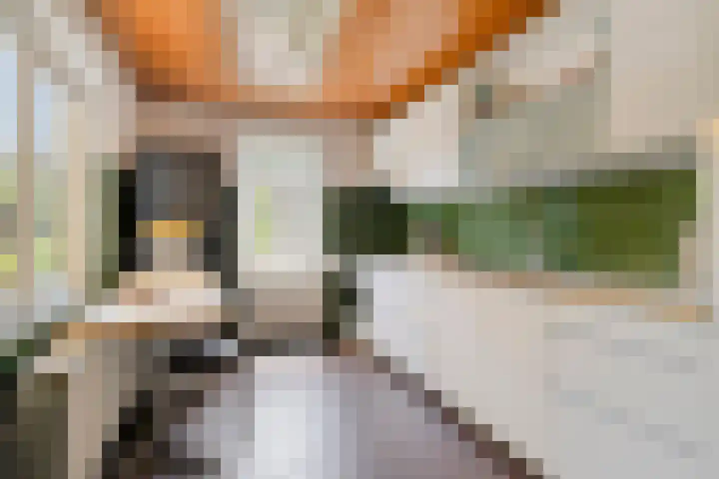Velsgoed 23 Prinsenbeek thumbnail 13