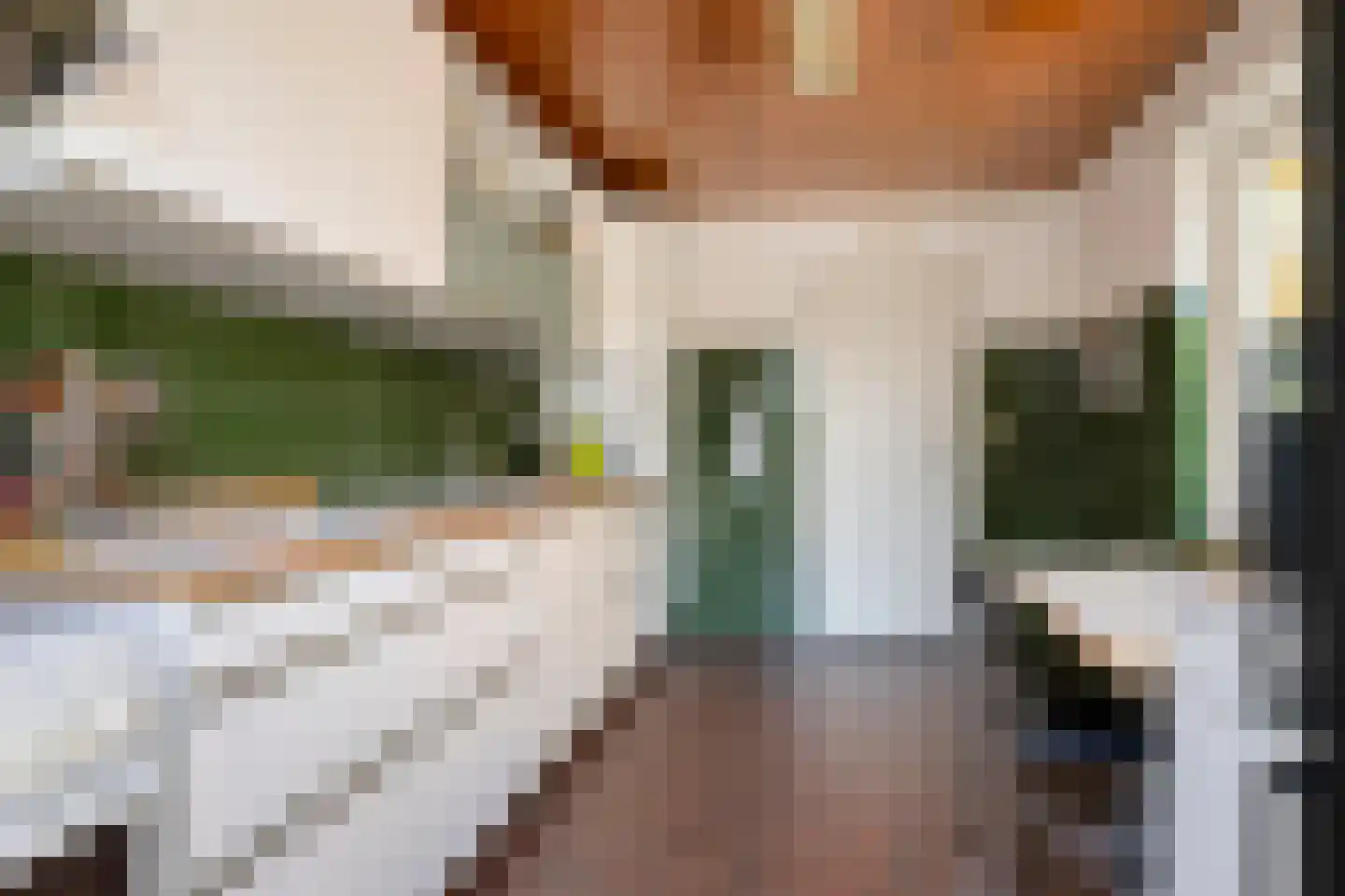 Velsgoed 23 Prinsenbeek thumbnail 14