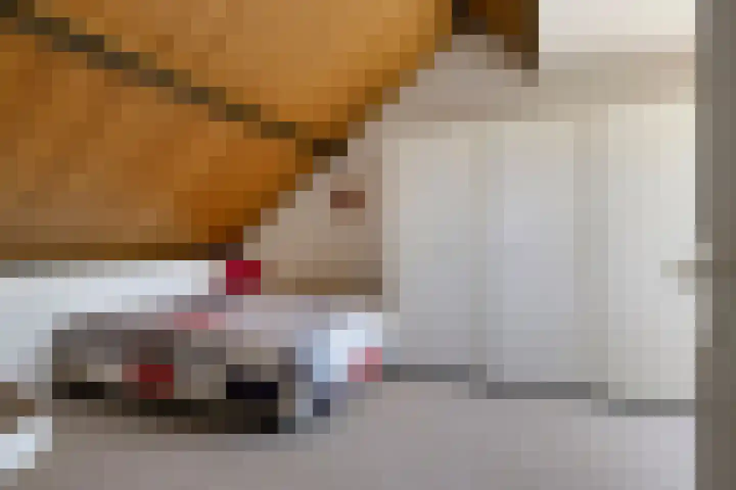 Velsgoed 23 Prinsenbeek thumbnail 27