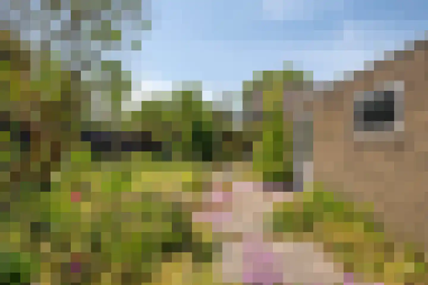 Velsgoed 23 Prinsenbeek thumbnail 31