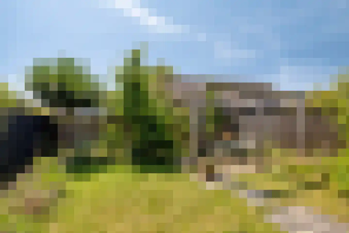 Velsgoed 23 Prinsenbeek thumbnail 32