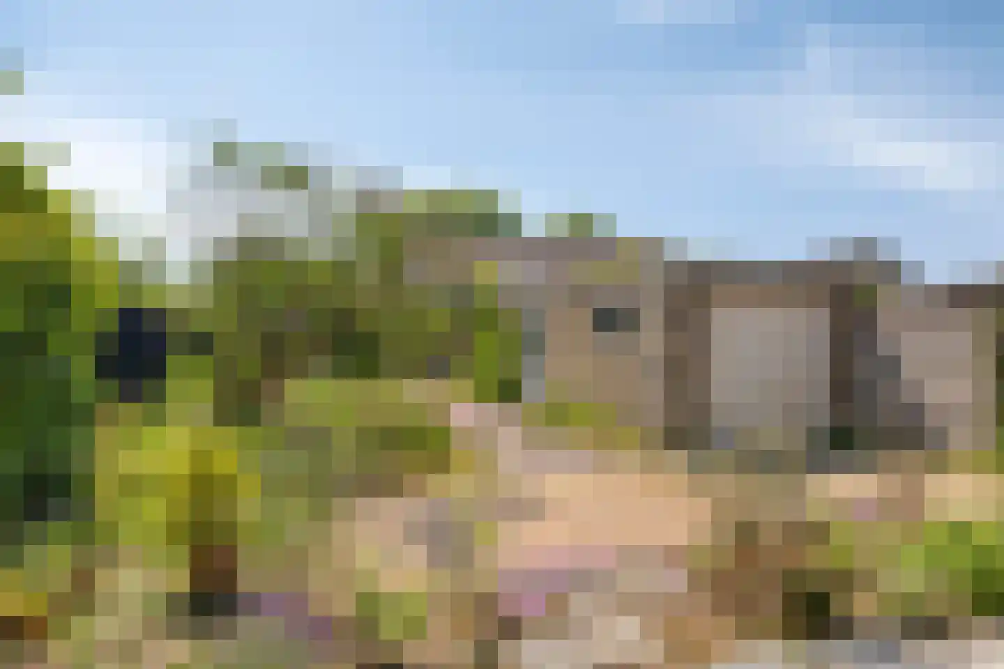 Velsgoed 23 Prinsenbeek thumbnail 4