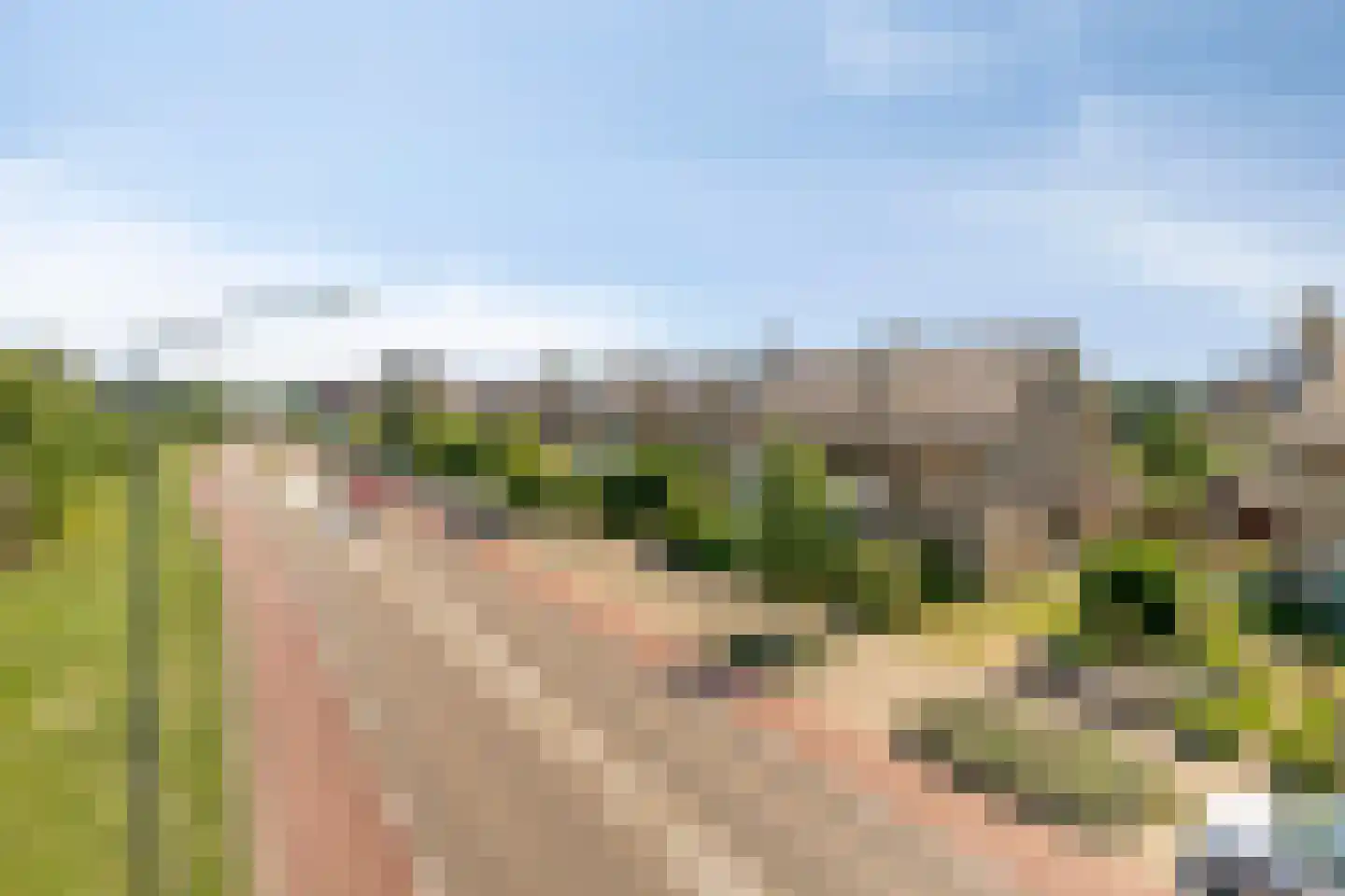Velsgoed 23 Prinsenbeek thumbnail 40