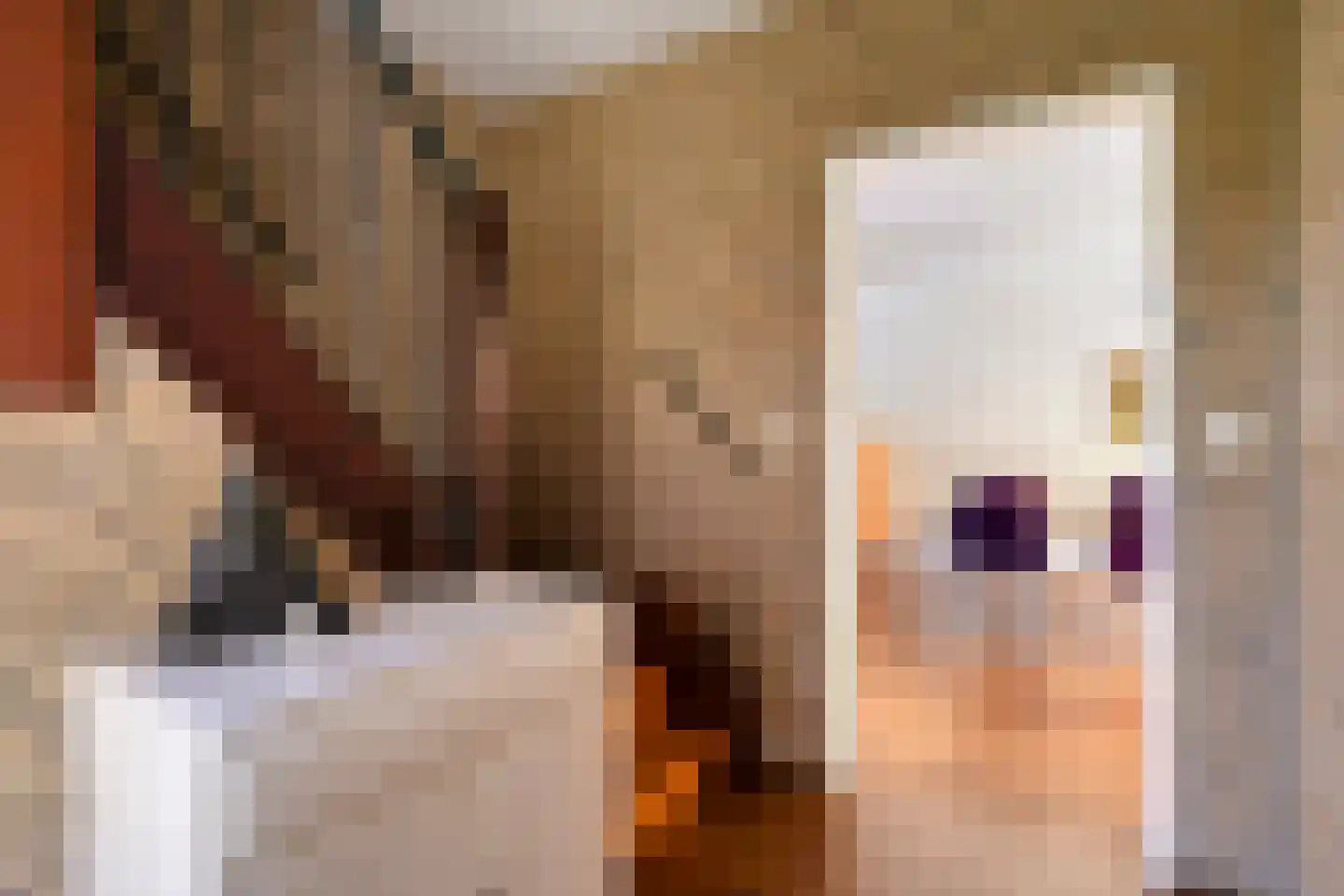 Velsgoed 23 Prinsenbeek thumbnail 6