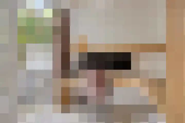 Veltackerstraat 8 Diessen thumbnail 16