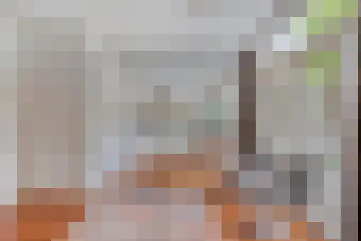 Veltackerstraat 8 Diessen thumbnail 17