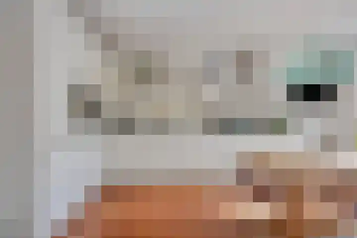 Veltackerstraat 8 Diessen thumbnail 20