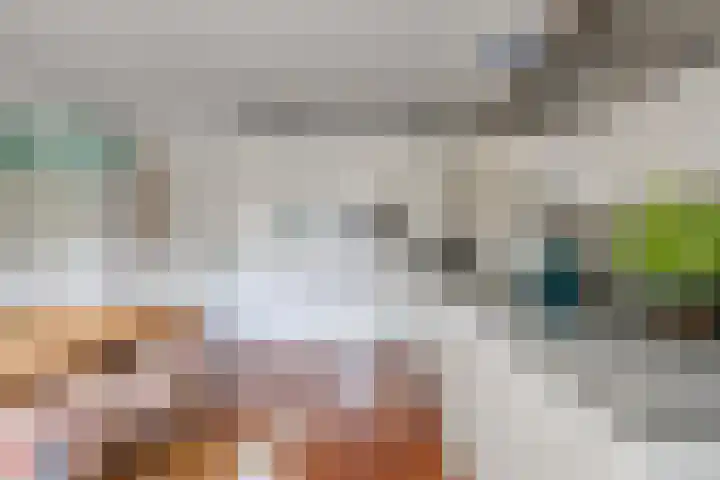 Veltackerstraat 8 Diessen thumbnail 24