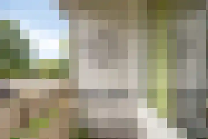 Veltackerstraat 8 Diessen thumbnail 35