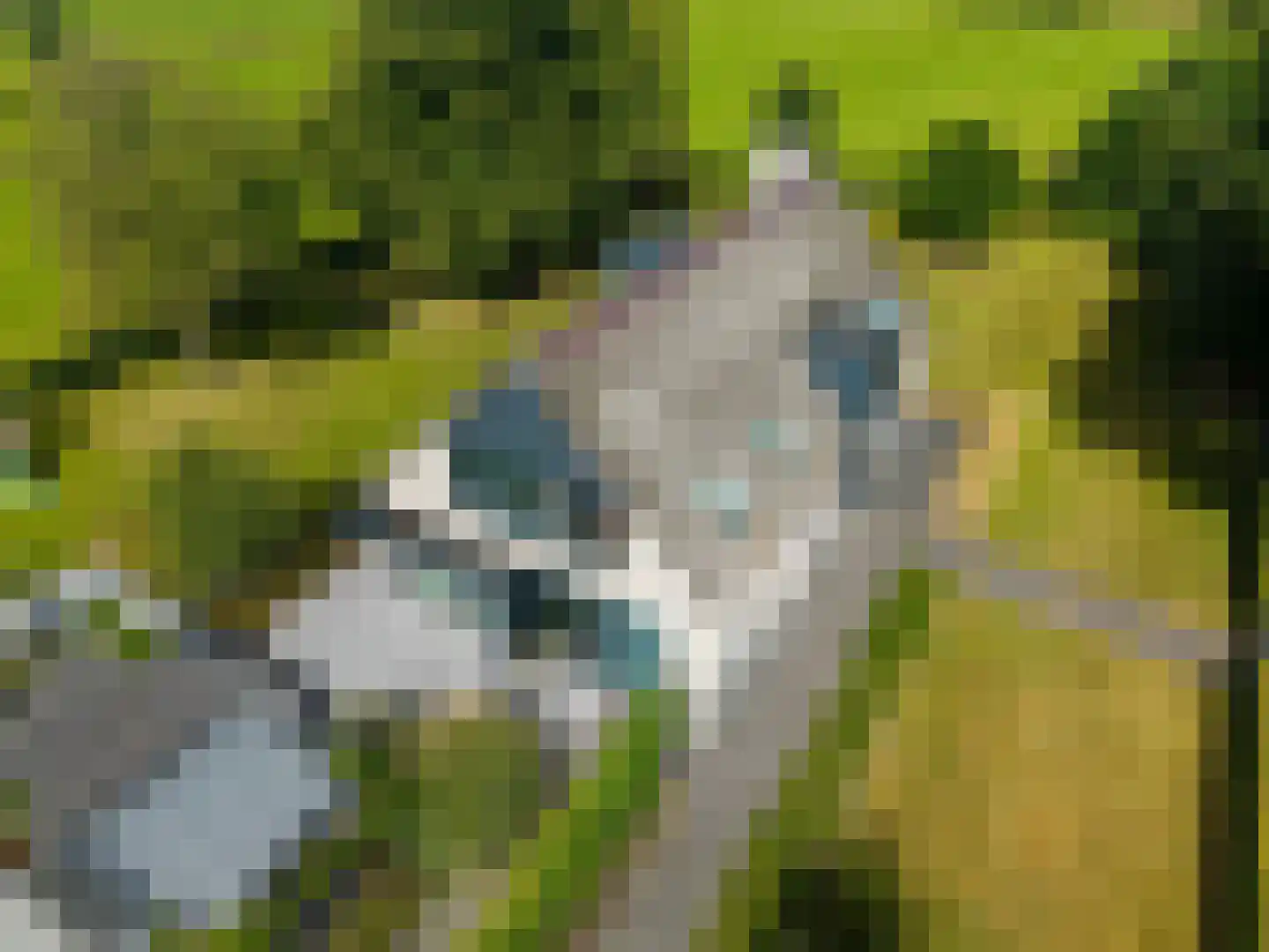 Veltackerstraat 8 Diessen thumbnail 39