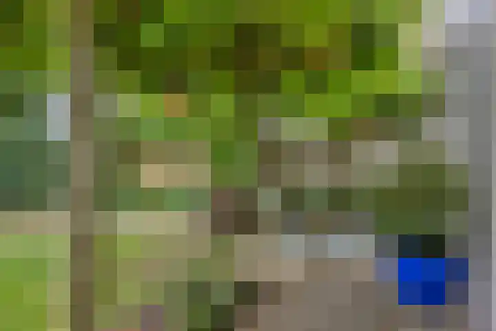 Veltackerstraat 8 Diessen thumbnail 41