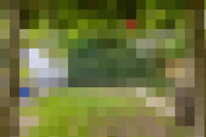 Veltackerstraat 8 Diessen thumbnail 42