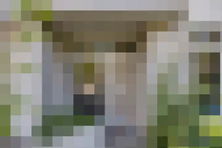 Veltackerstraat 8 Diessen thumbnail 9