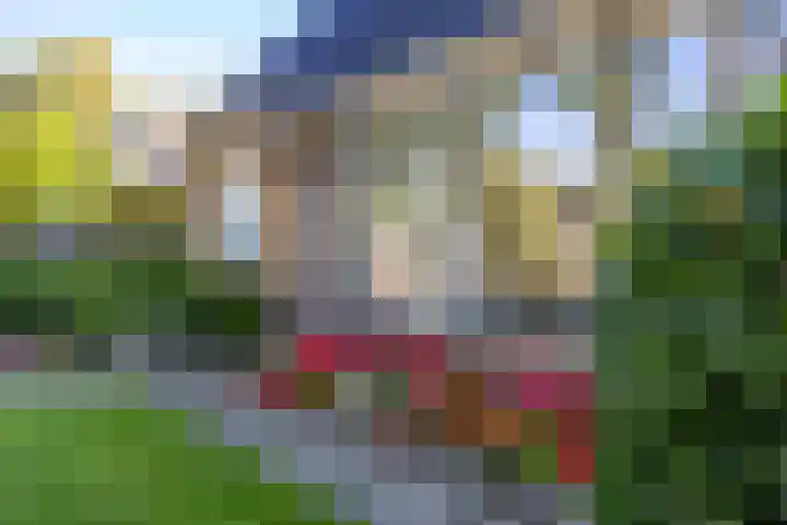 Veltenburgerdijk 26 Vries thumbnail 10