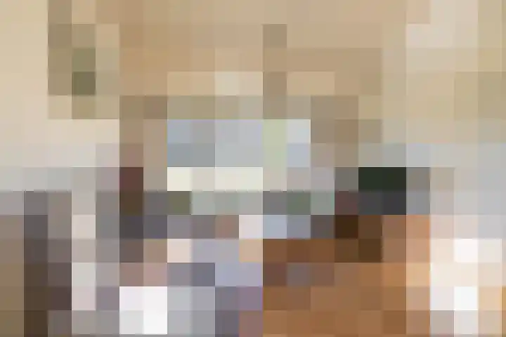 Veltenburgerdijk 26 Vries thumbnail 16
