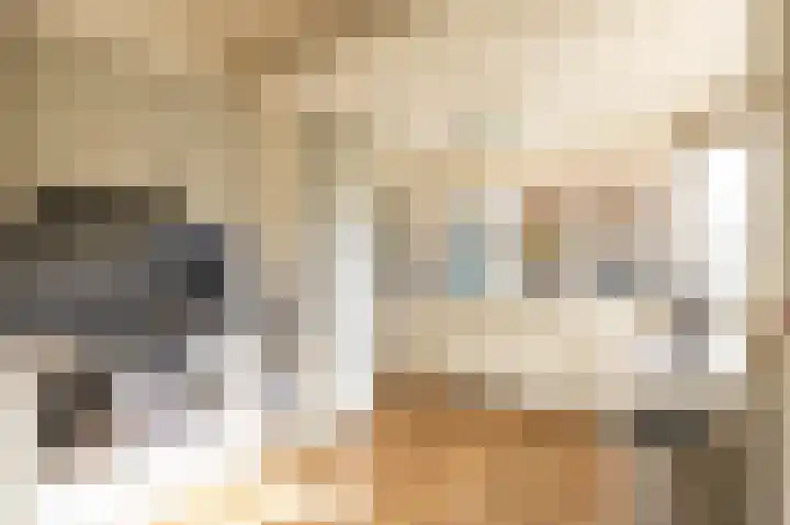 Veltenburgerdijk 26 Vries thumbnail 18