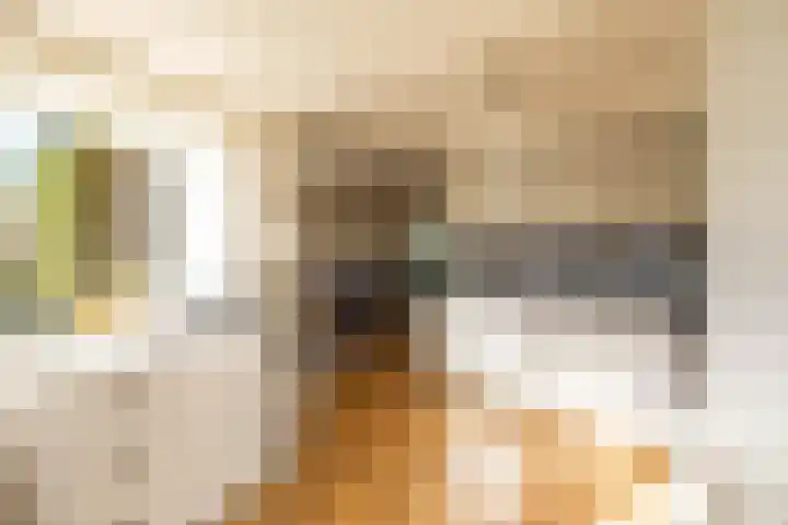 Veltenburgerdijk 26 Vries thumbnail 21
