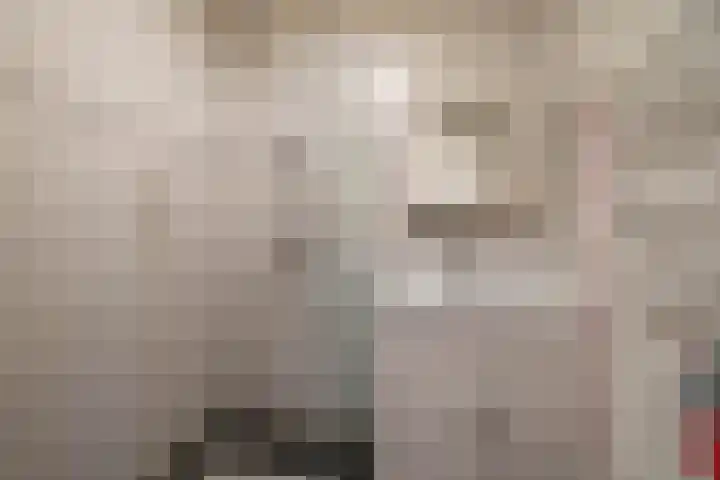 Veltenburgerdijk 26 Vries thumbnail 25